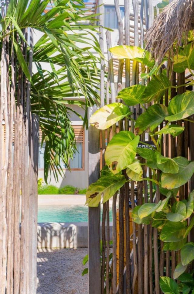 Hostel Dona Lucha Tulum