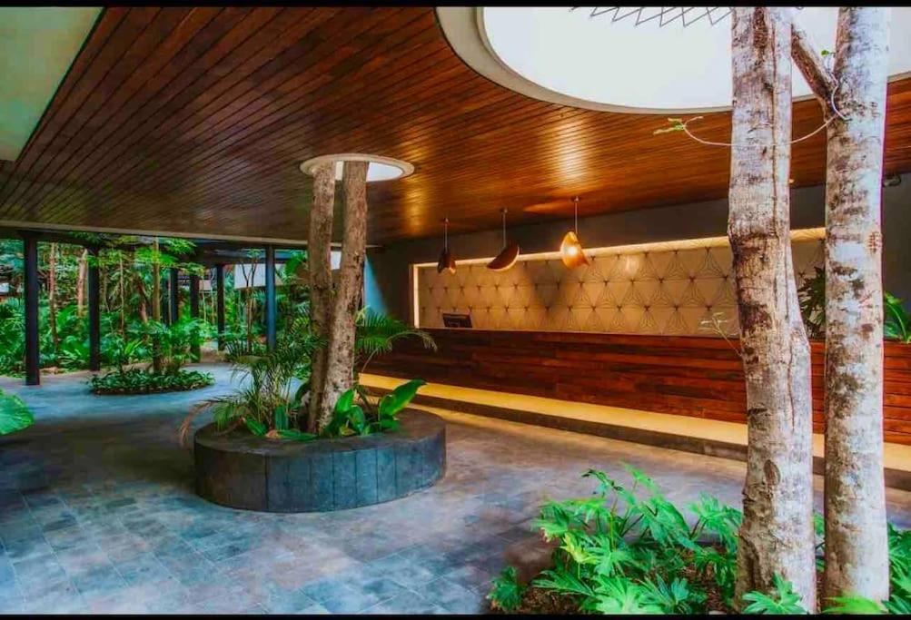 Apartment 5* New Luxury Penthouse With Private Pool, Cenote Pool, Spa!