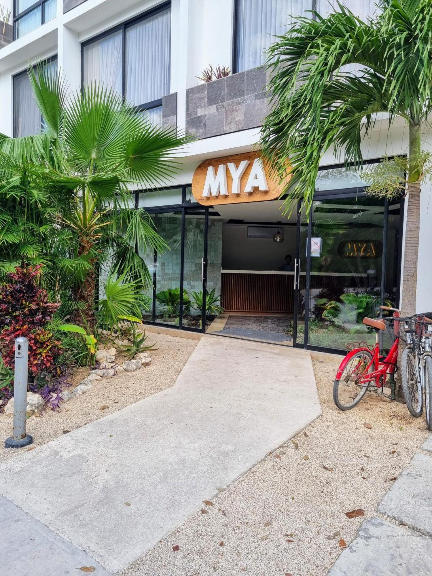 Acogedor Estudio 305 Wifi Netflix Aldea Zama Apartment *