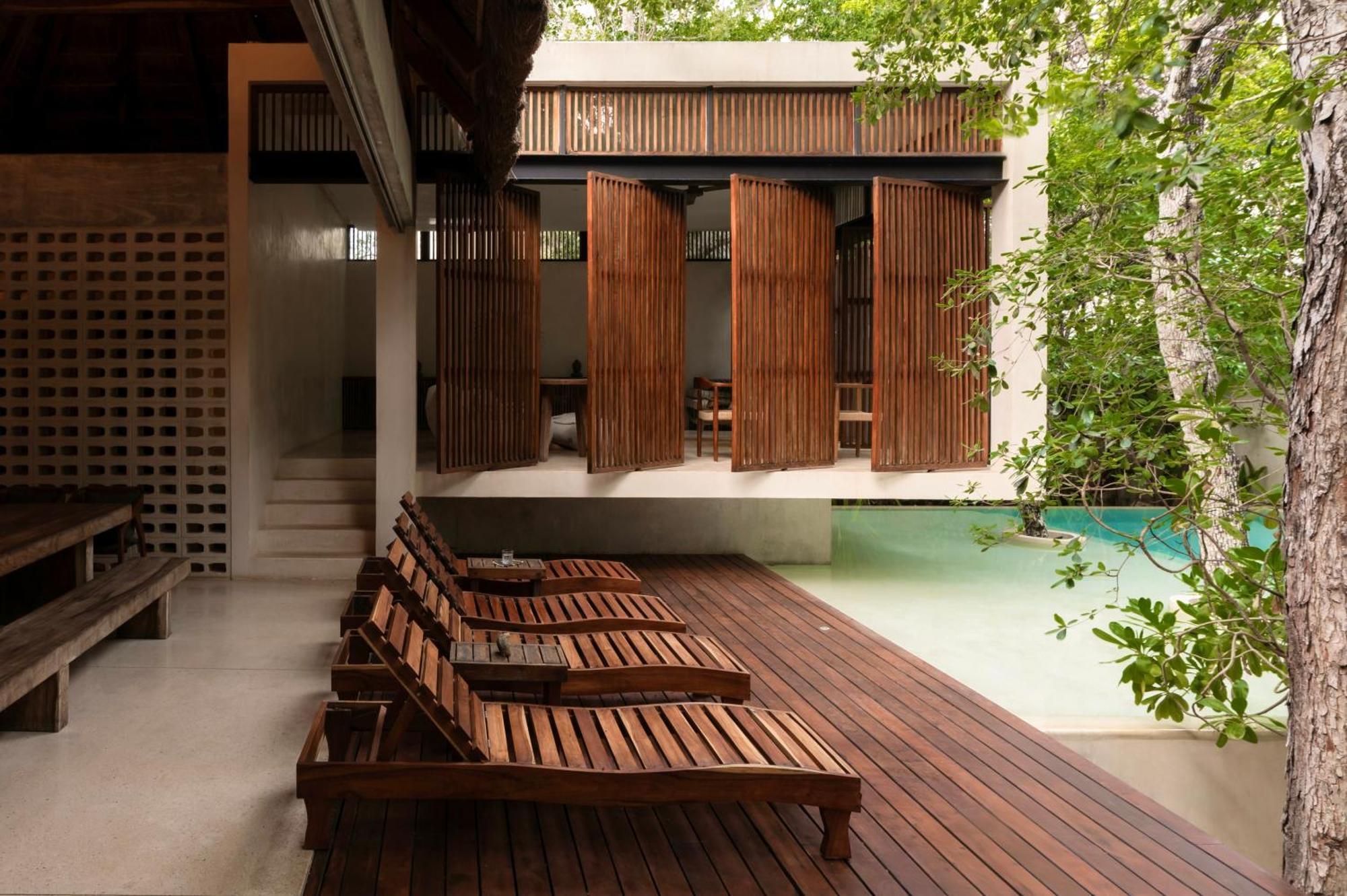 Jungle Keva & Venue *