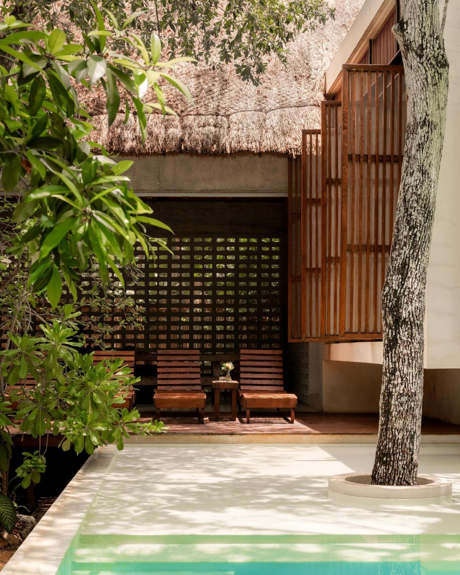 Villa Jungle Keva & Venue *