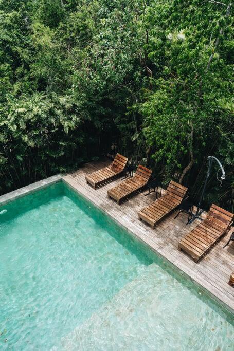 Villa Luxury Villa, Club - Jungle View - Sahara Jade