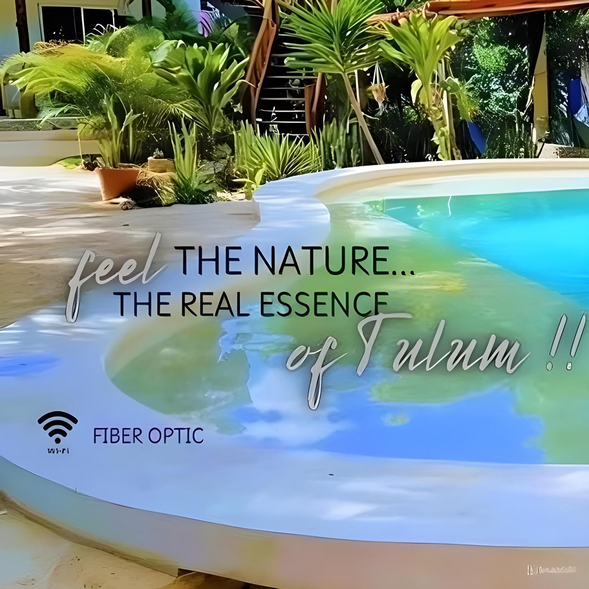 Zamunda Garden View 2*