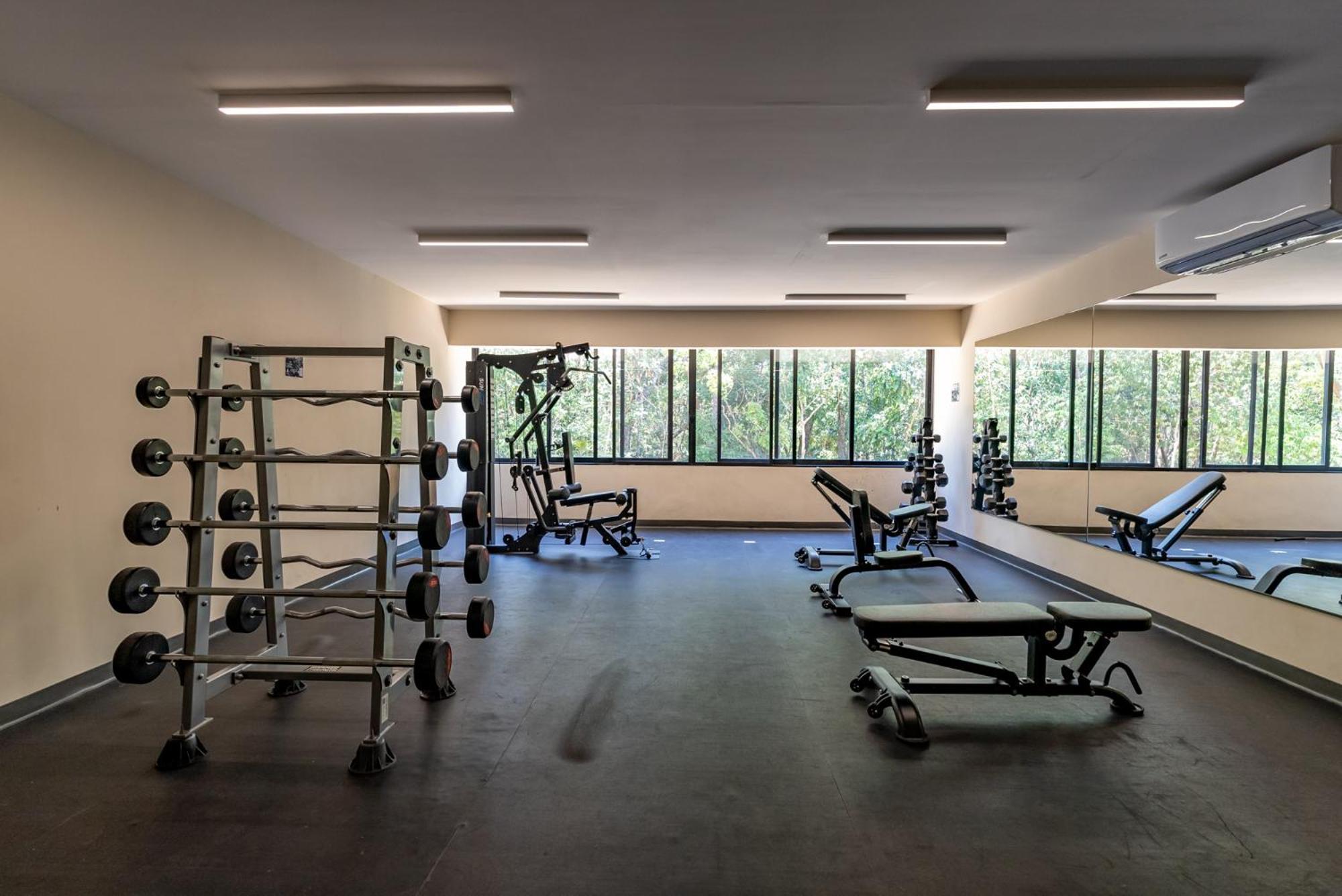 Apartment Luxury Gym Jacuzzi Wifi Starlink *