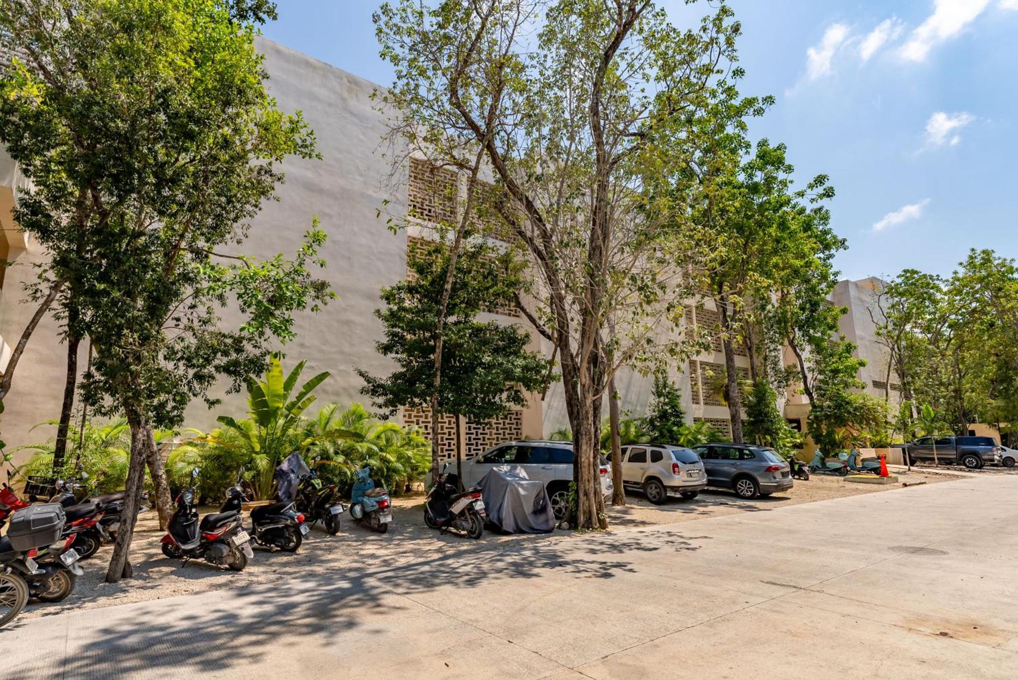 Luxury Gym Jacuzzi Wifi Starlink * Tulum