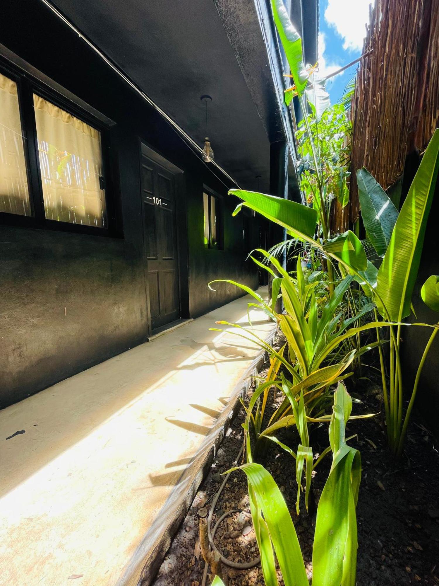 Hotel Aroma & Club 3*