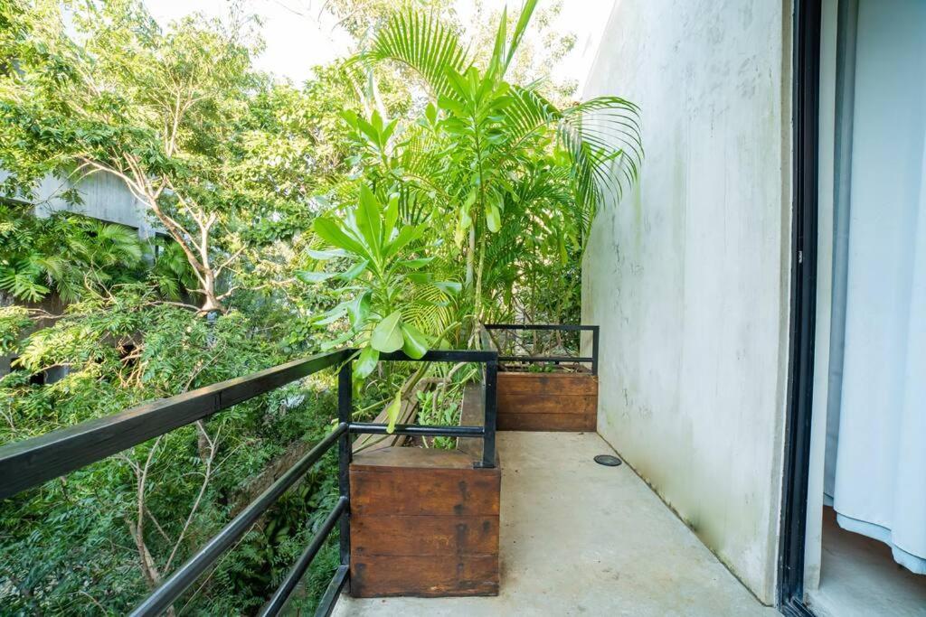 Apartment Jungle Tribu Luum Zama