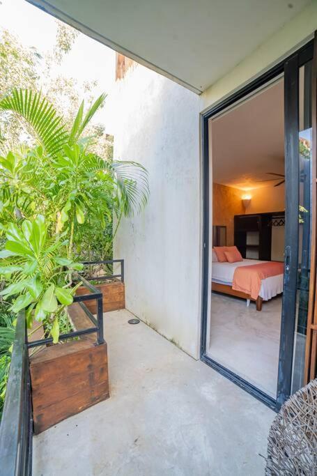 Jungle Tribu Luum Zama Apartment Tulum