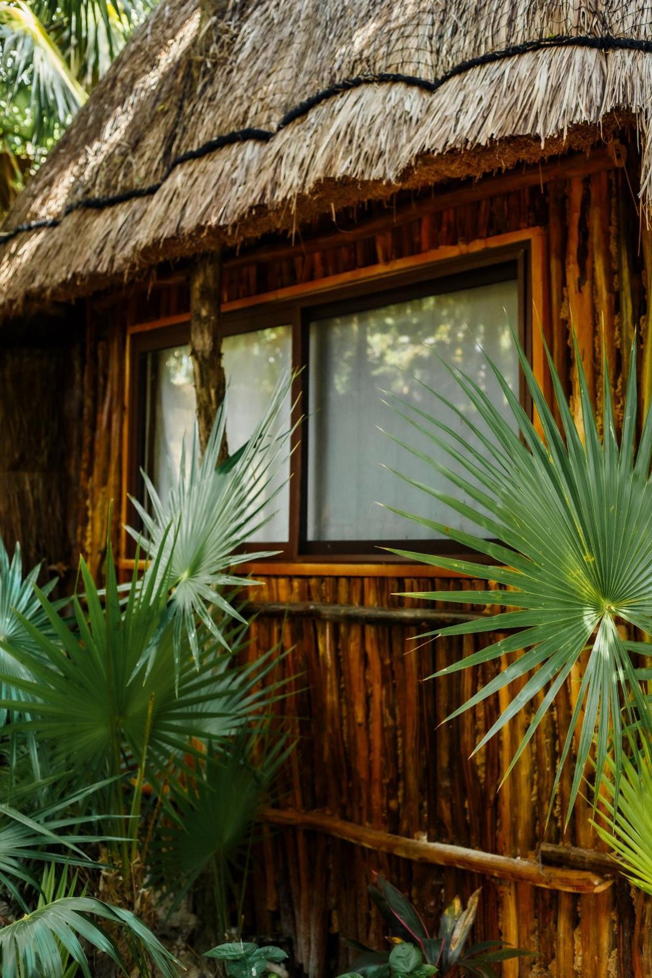Eco Banitas *
