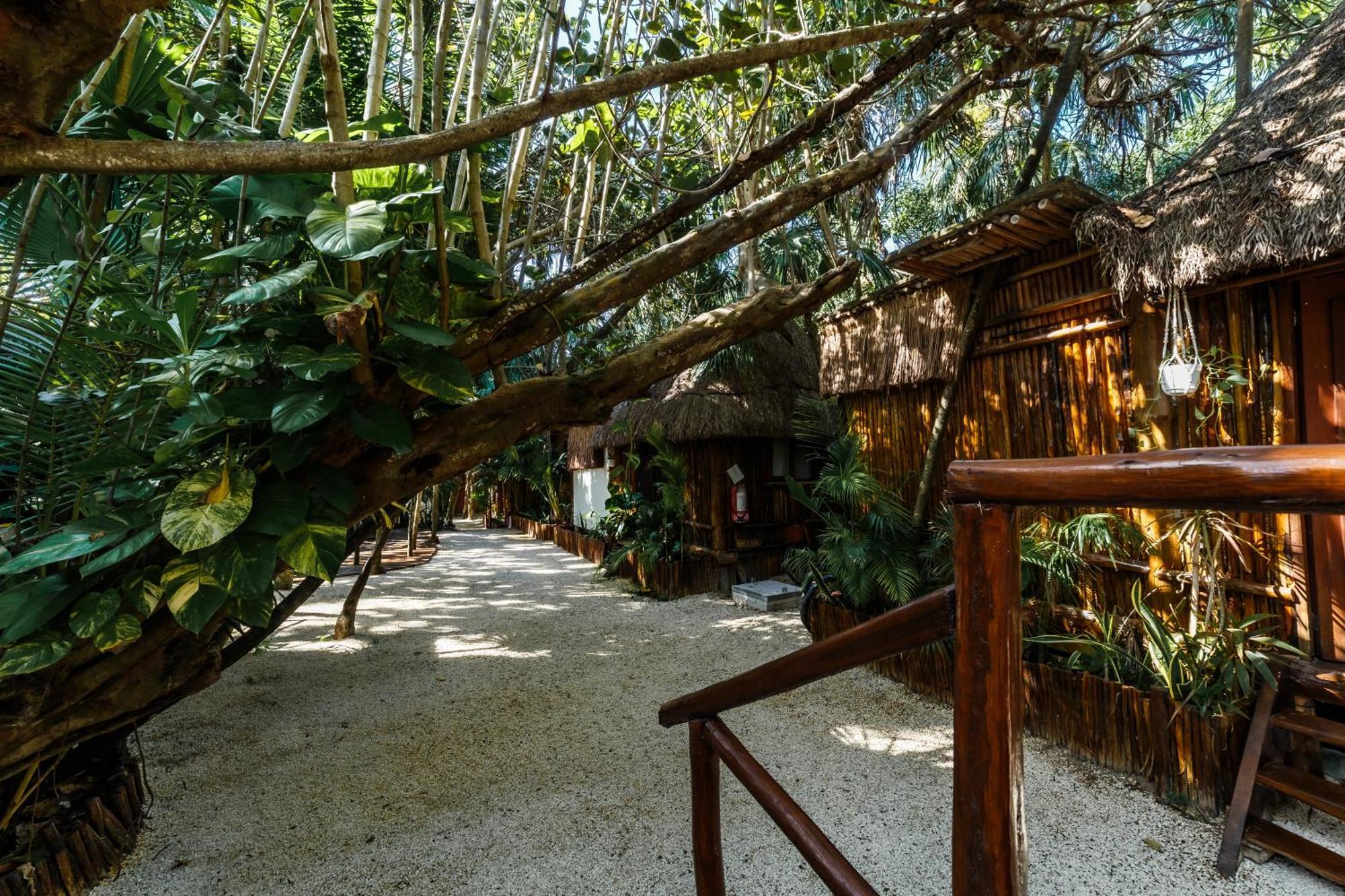 Eco Banitas * Tulum