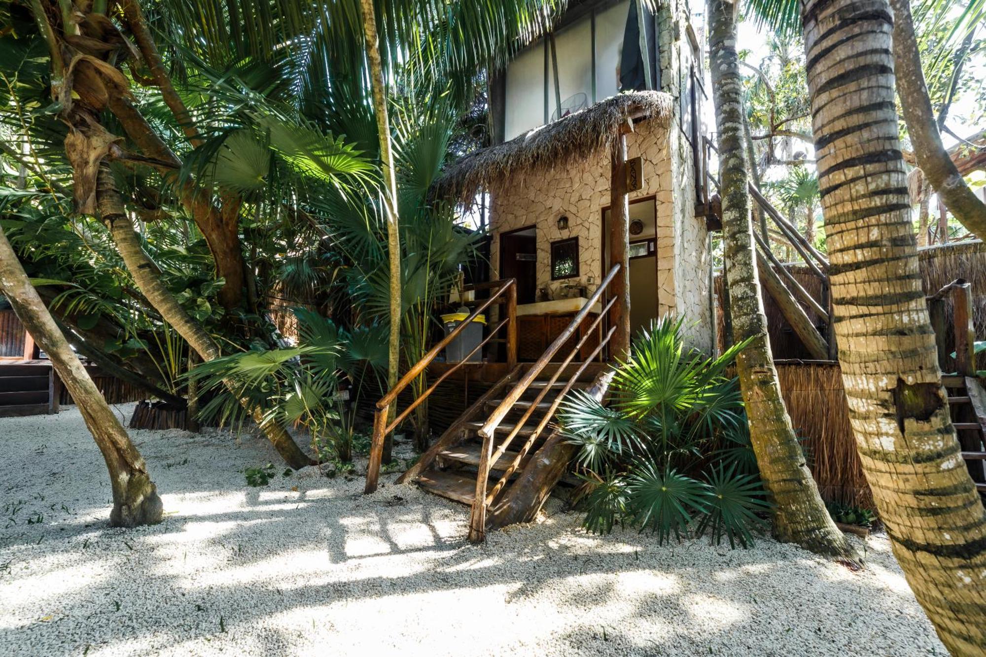 Eco Banitas *