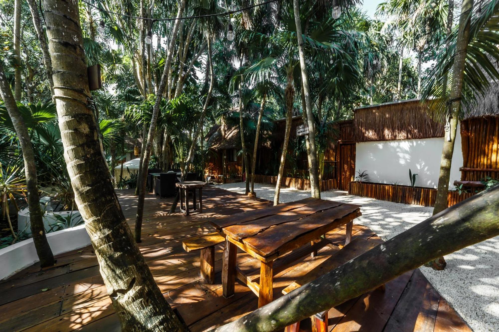 Hotel Eco Banitas *
