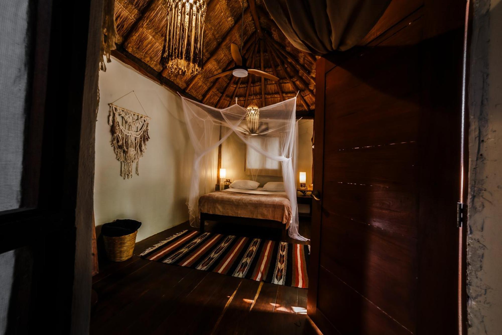 Eco Banitas