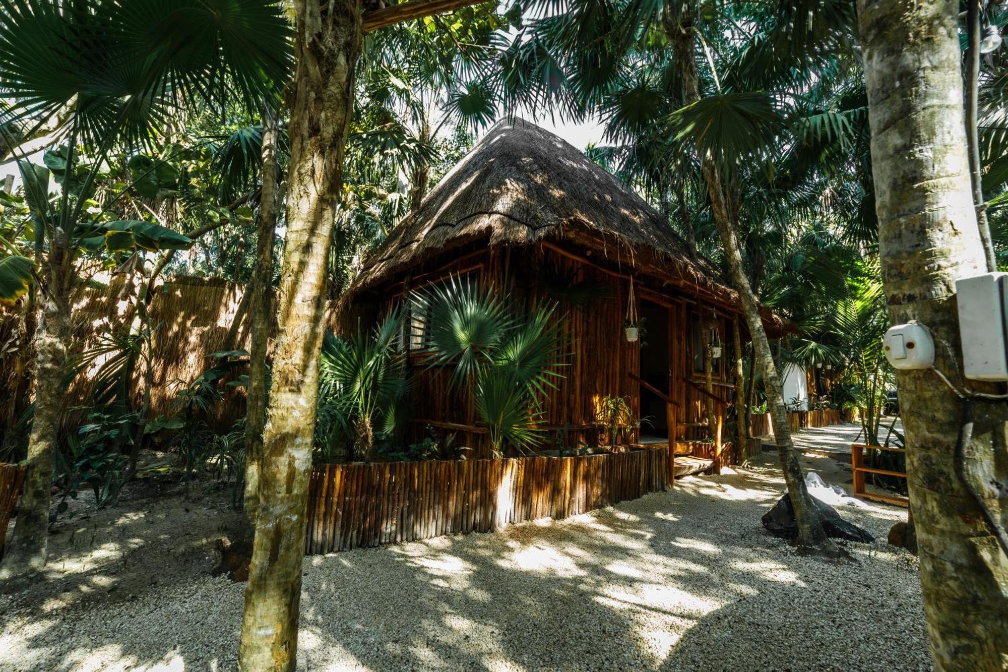 Eco Banitas *