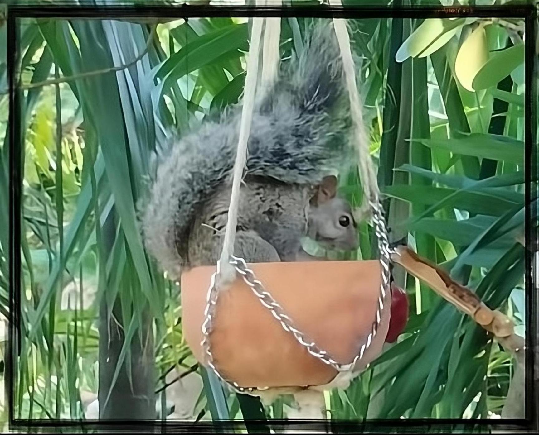 Zamunda Garden View Inn 2*