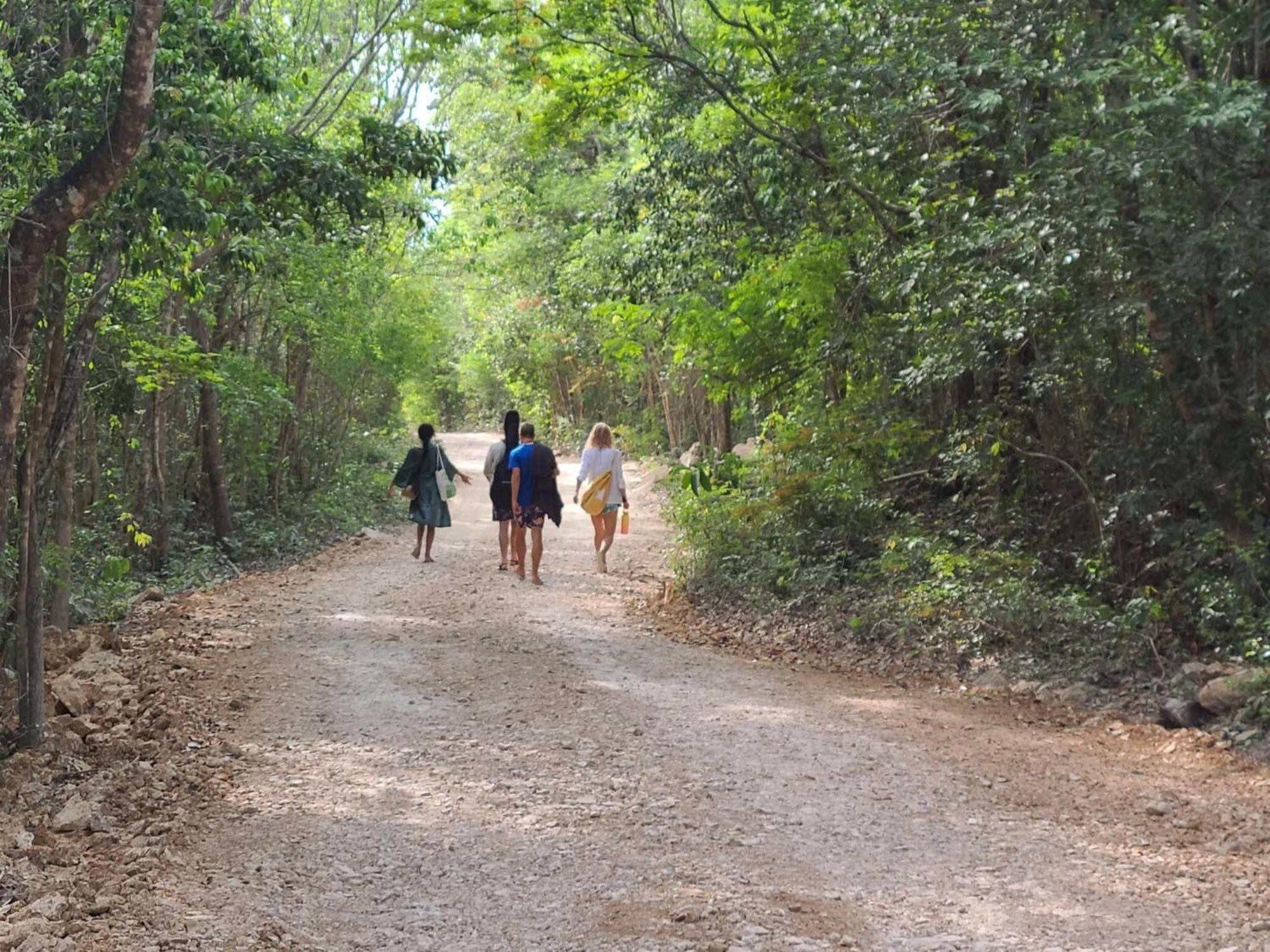 In - Eco-lush Double Mayan Dome Cenote And Bikes