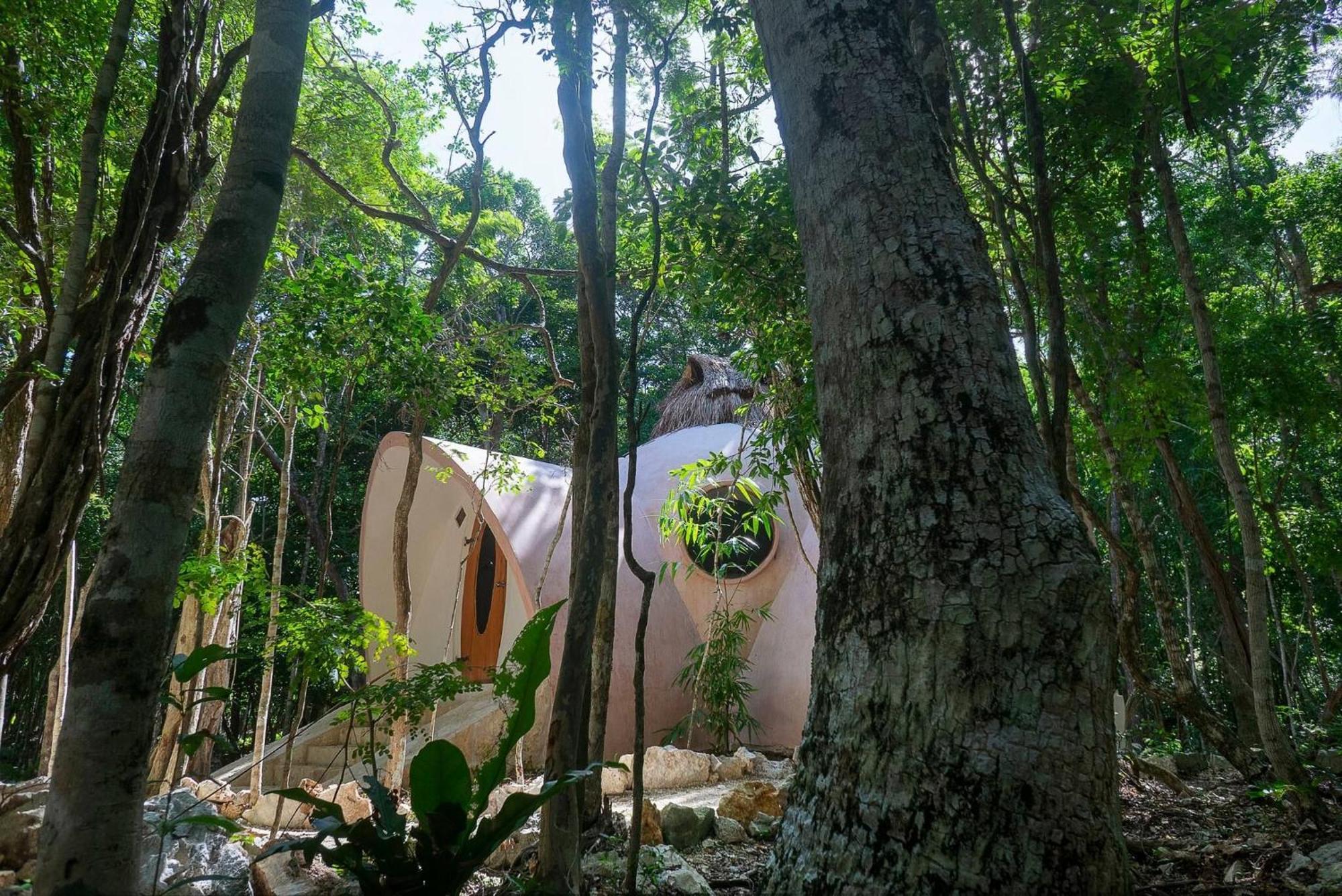 In - Eco-lush Double Mayan Dome Cenote And Bikes Guest house Tulum