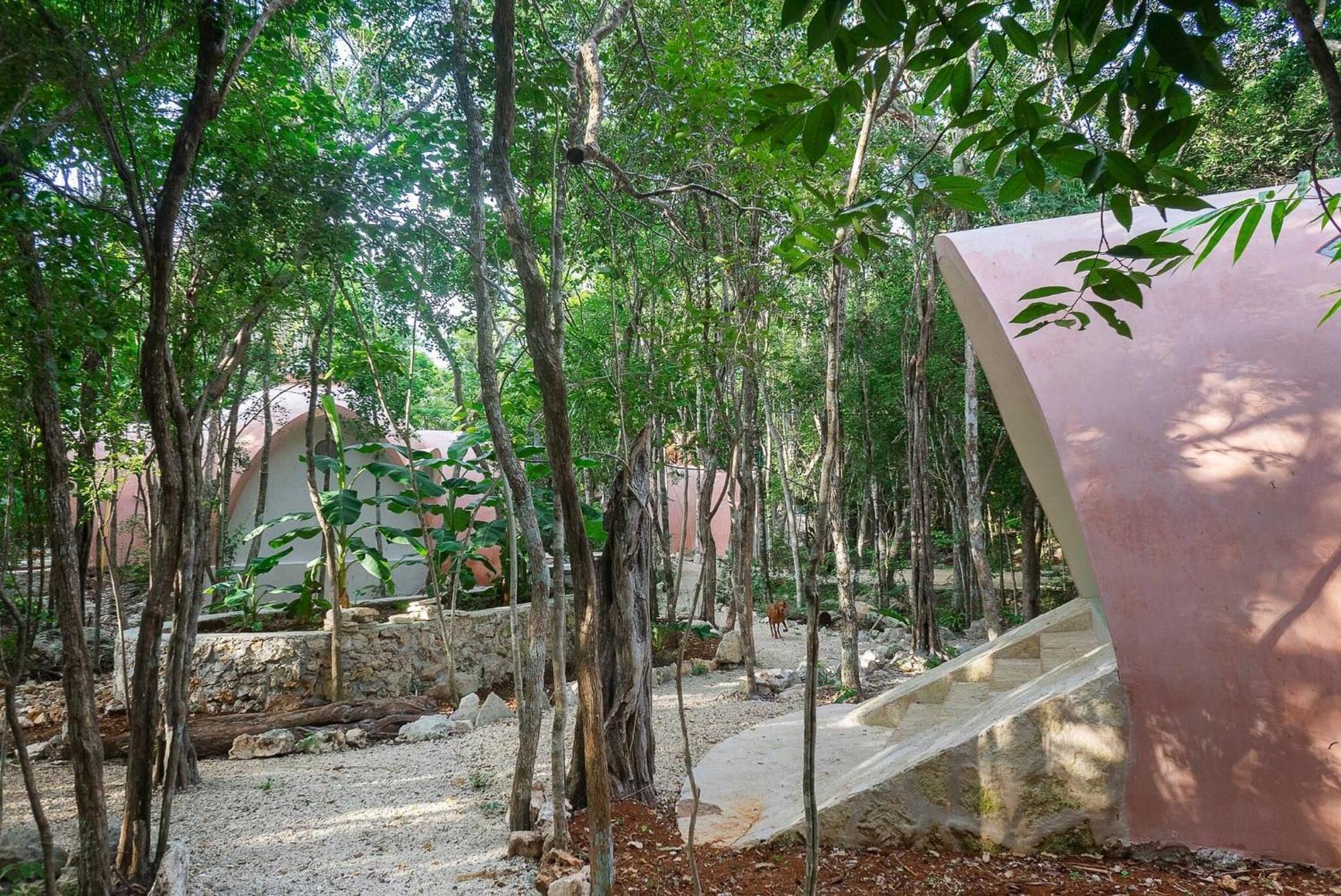 In - Eco-lush Double Mayan Dome Cenote And Bikes
