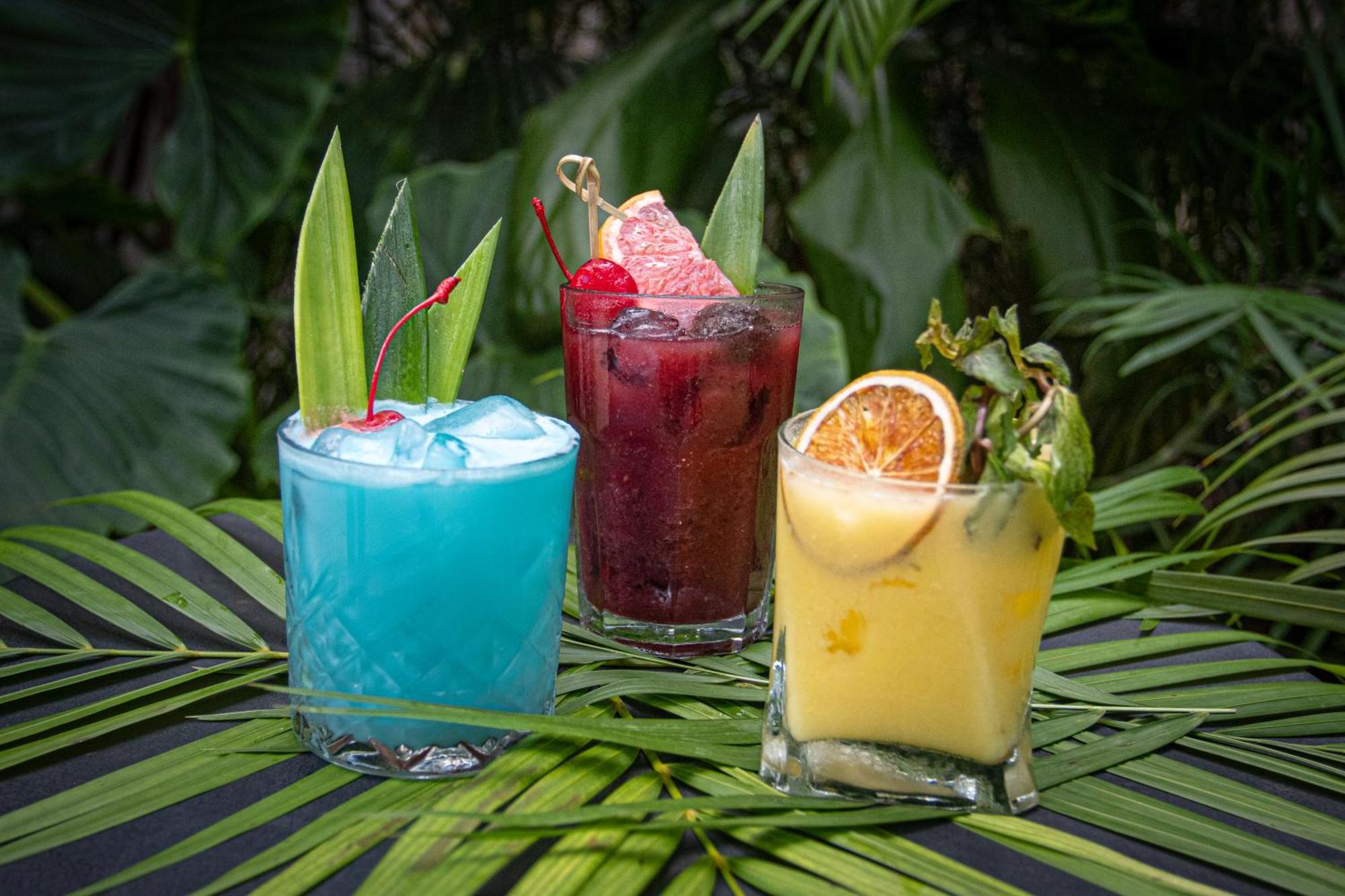 The Yellow Nest Hotel