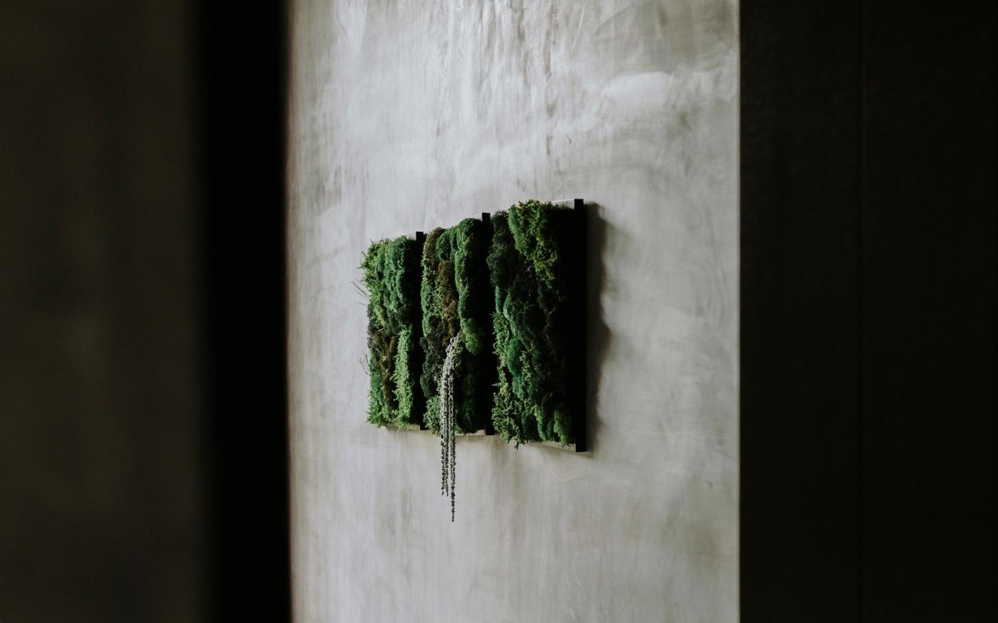 Media Luna Boho Chic E11 Pvt Pool Concierge * Tulum