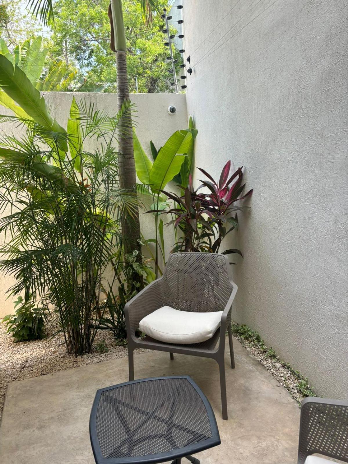 Private Karol For10-bbq-5 Beds-pool-parking * Tulum