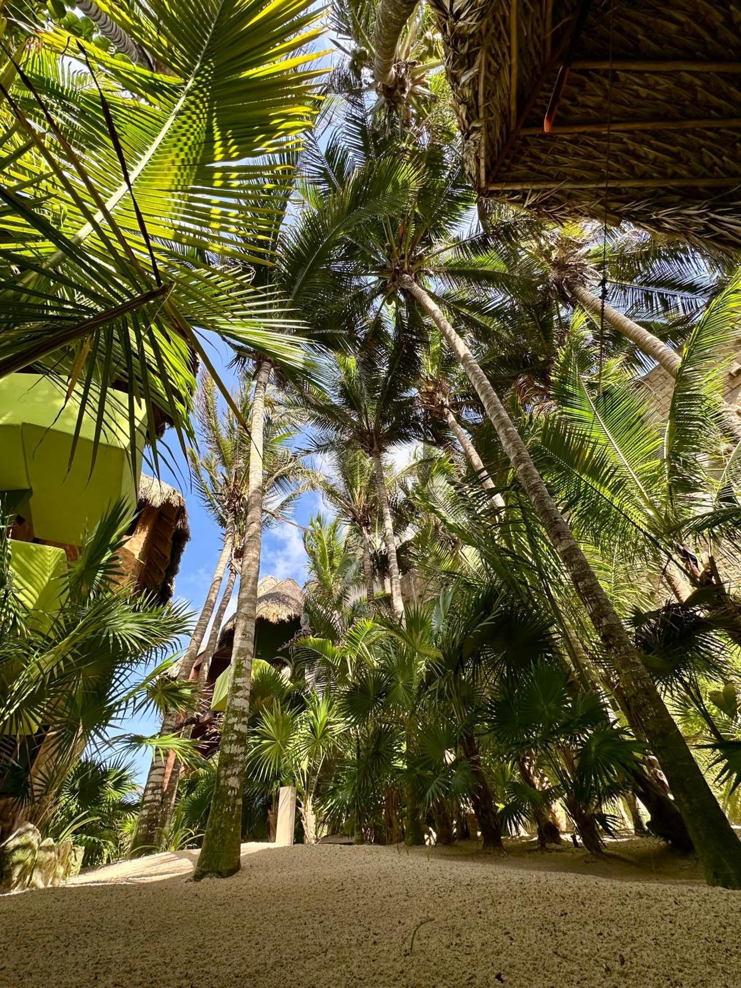 Suenos Tulum