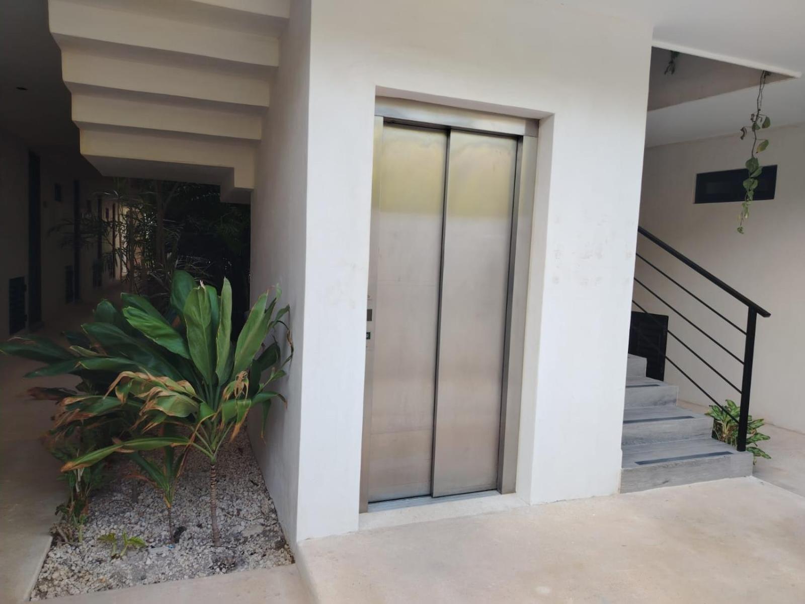 Enmedio De La Zona Hotelera Y El Centro