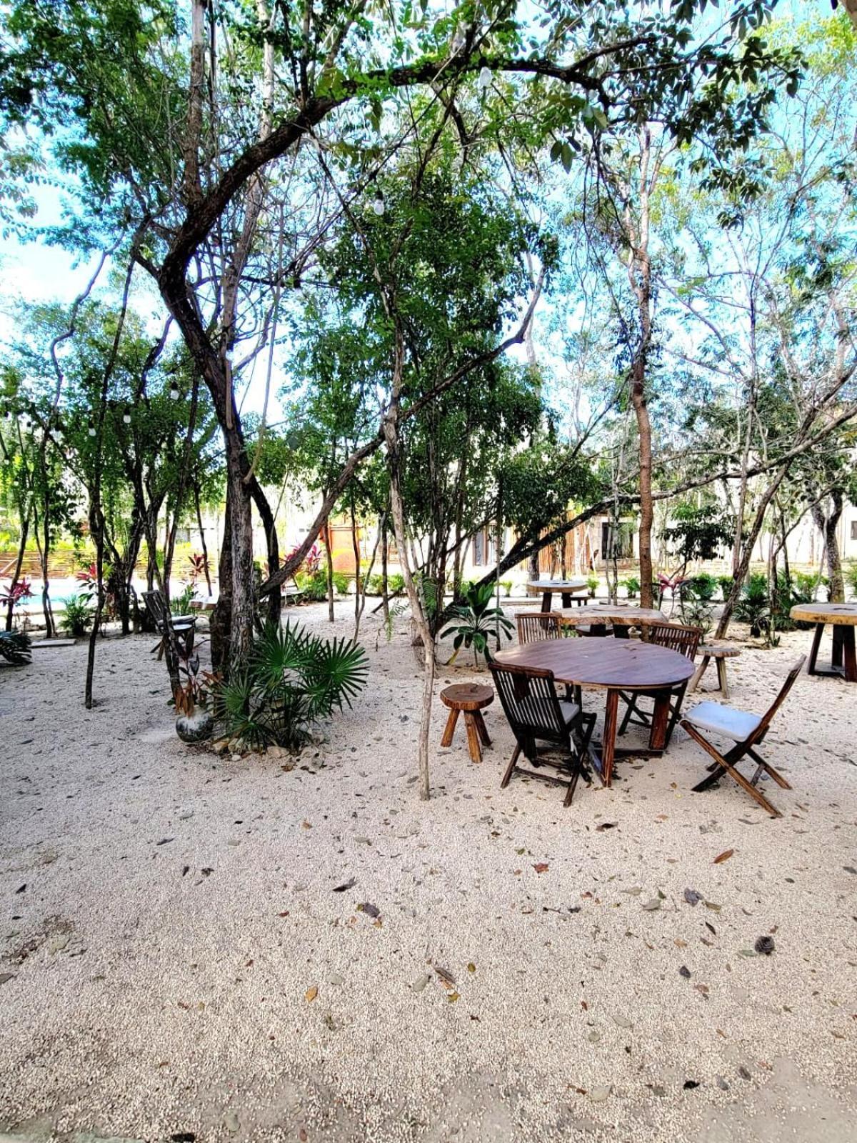 Apartment De Ensueno Con Cenote Privado Tulum