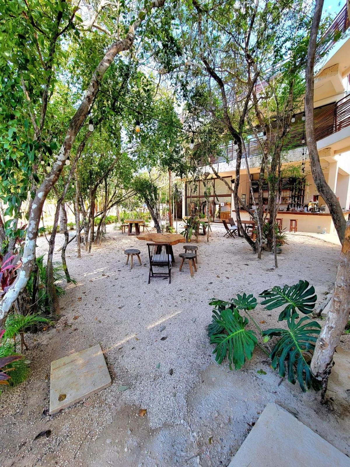 De Ensueno Con Cenote Privado Tulum