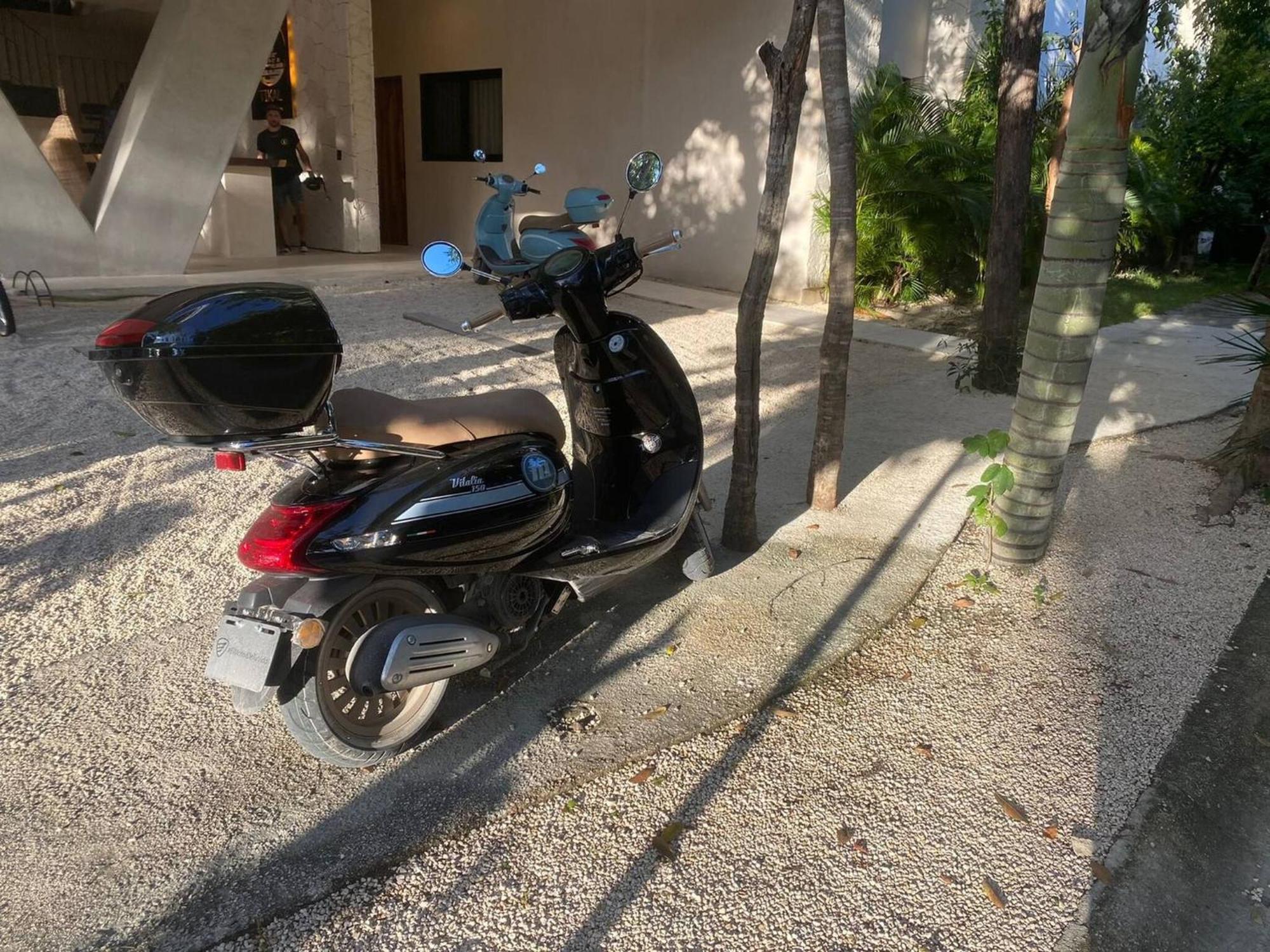 Unique Rooftop Sea View Walking To The Apartment