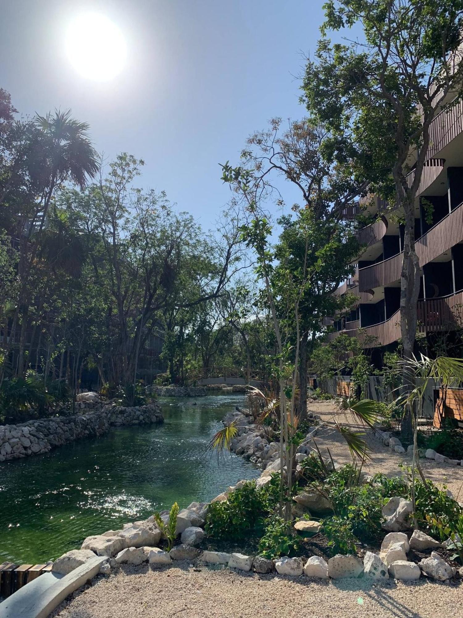 Unique Rooftop Sea View Walking To The