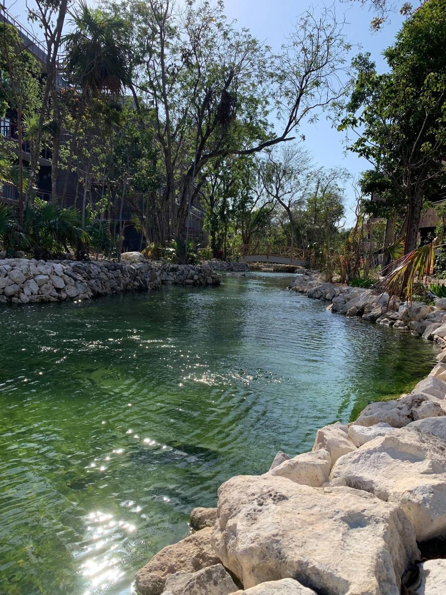 Unique Rooftop Sea View Walking To The