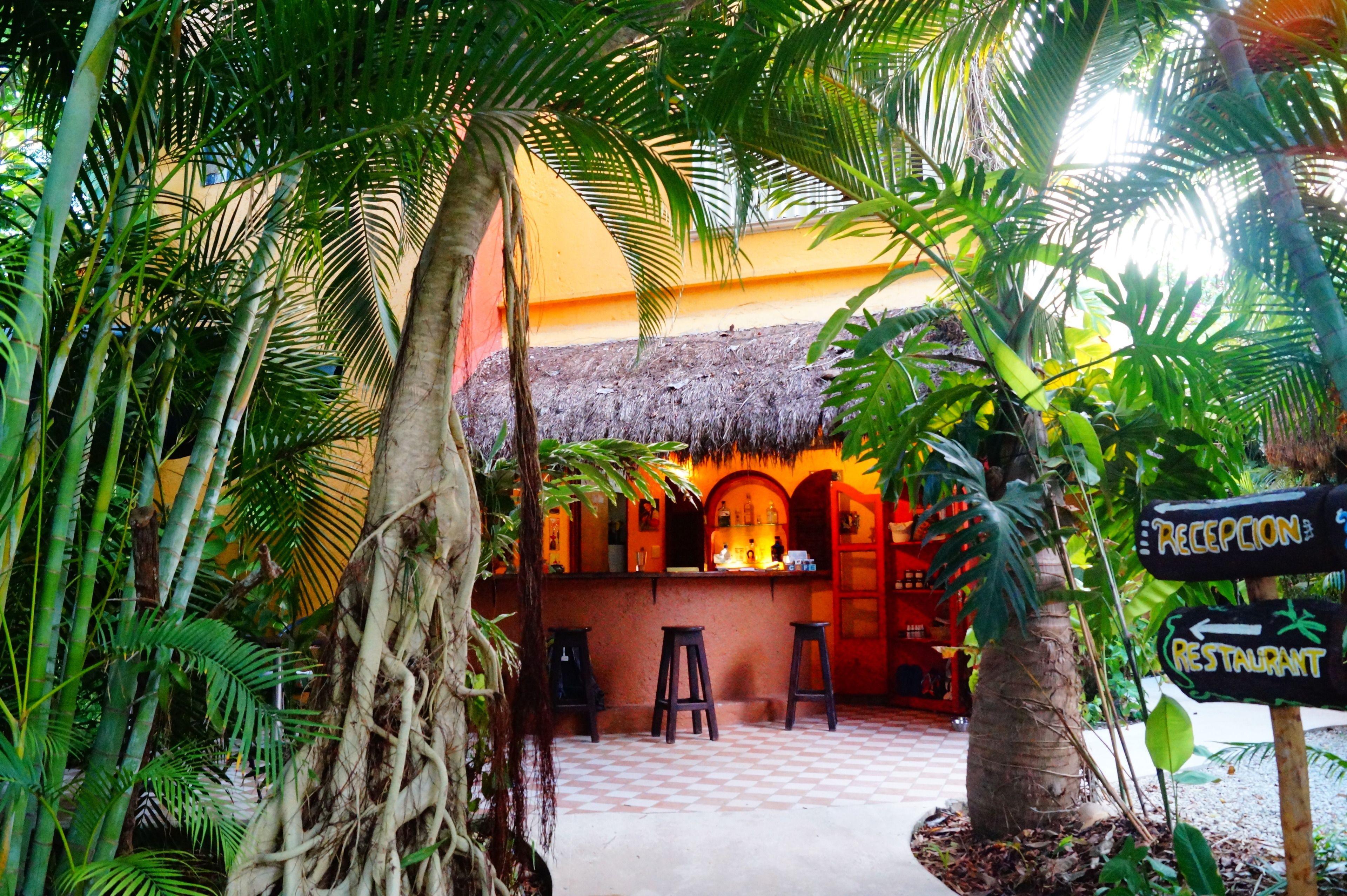 Casa Don Diego Bed and breakfast
