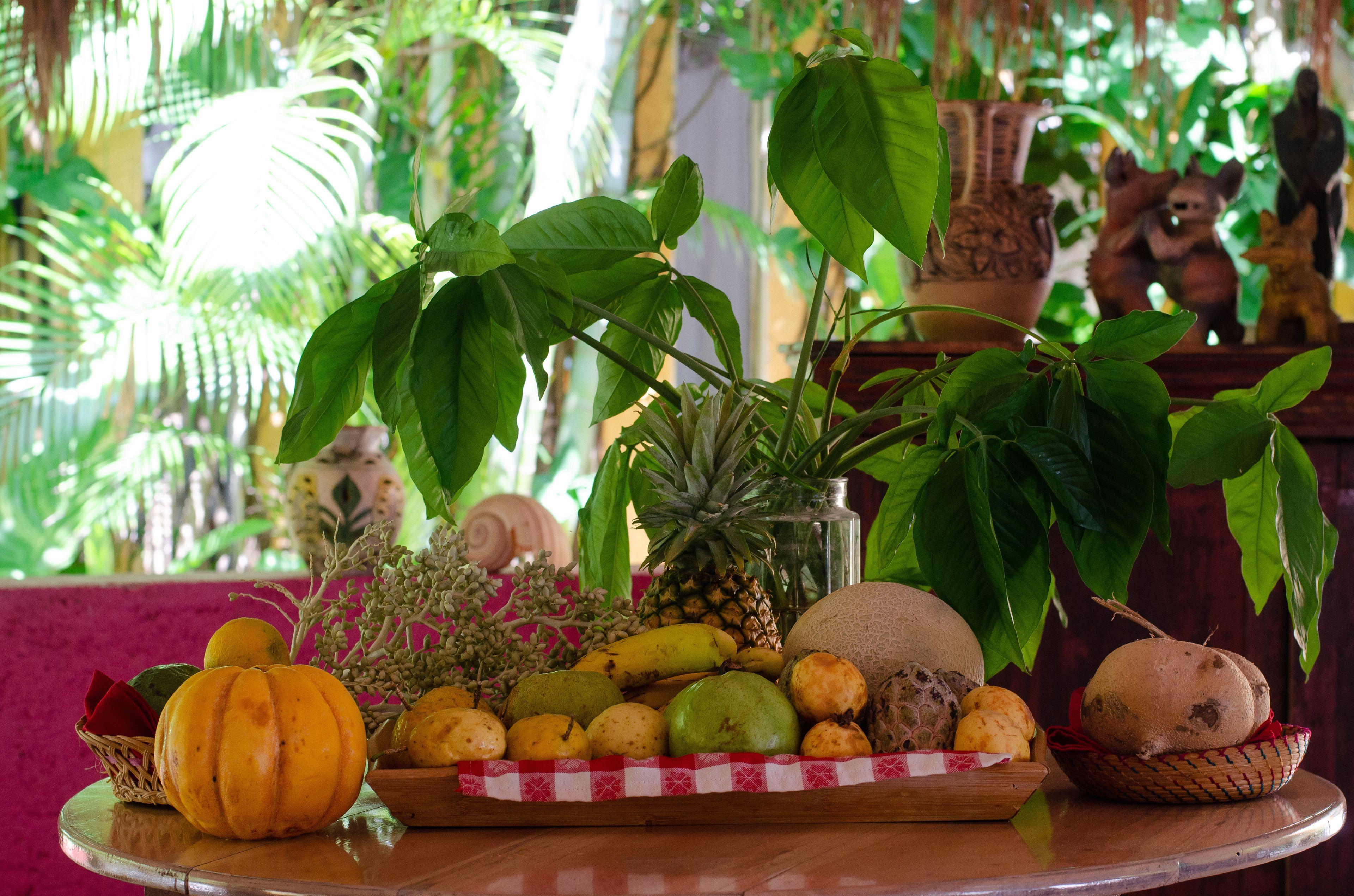 Bed and breakfast Casa Don Diego
