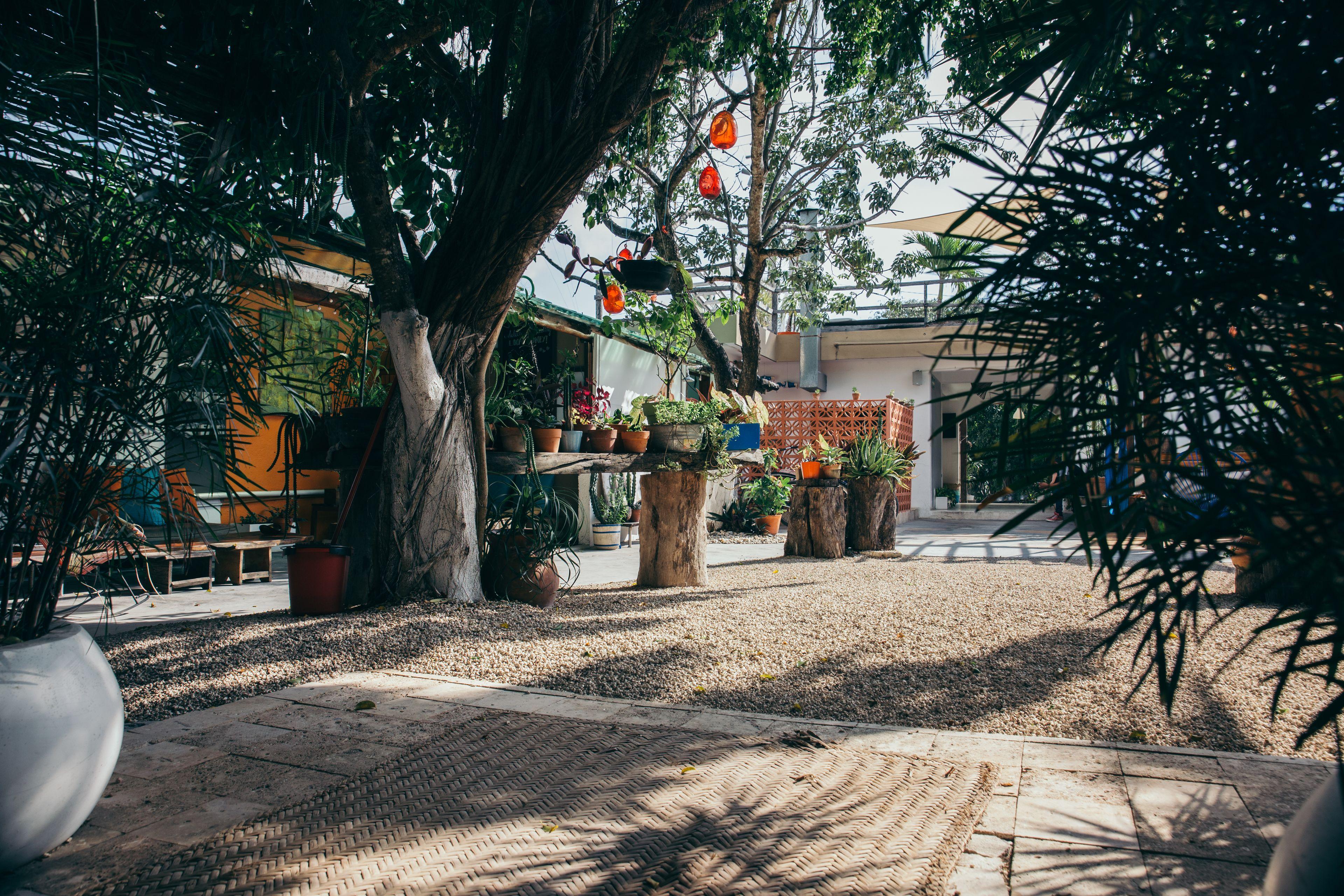 Hotel Teetotum Tulum