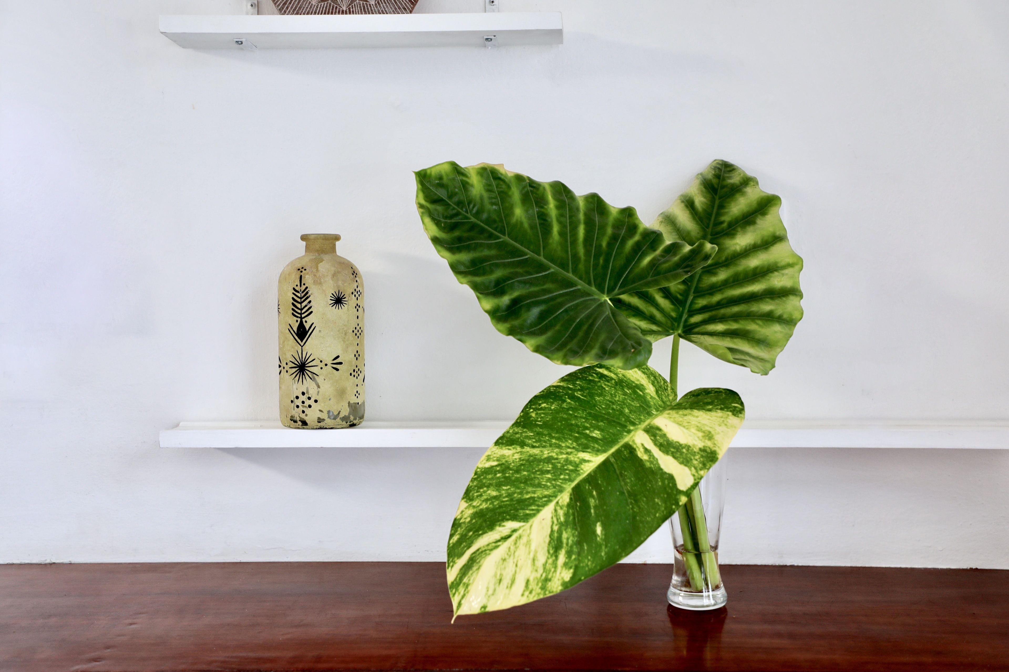 Tuup Jungle 3* Tulum