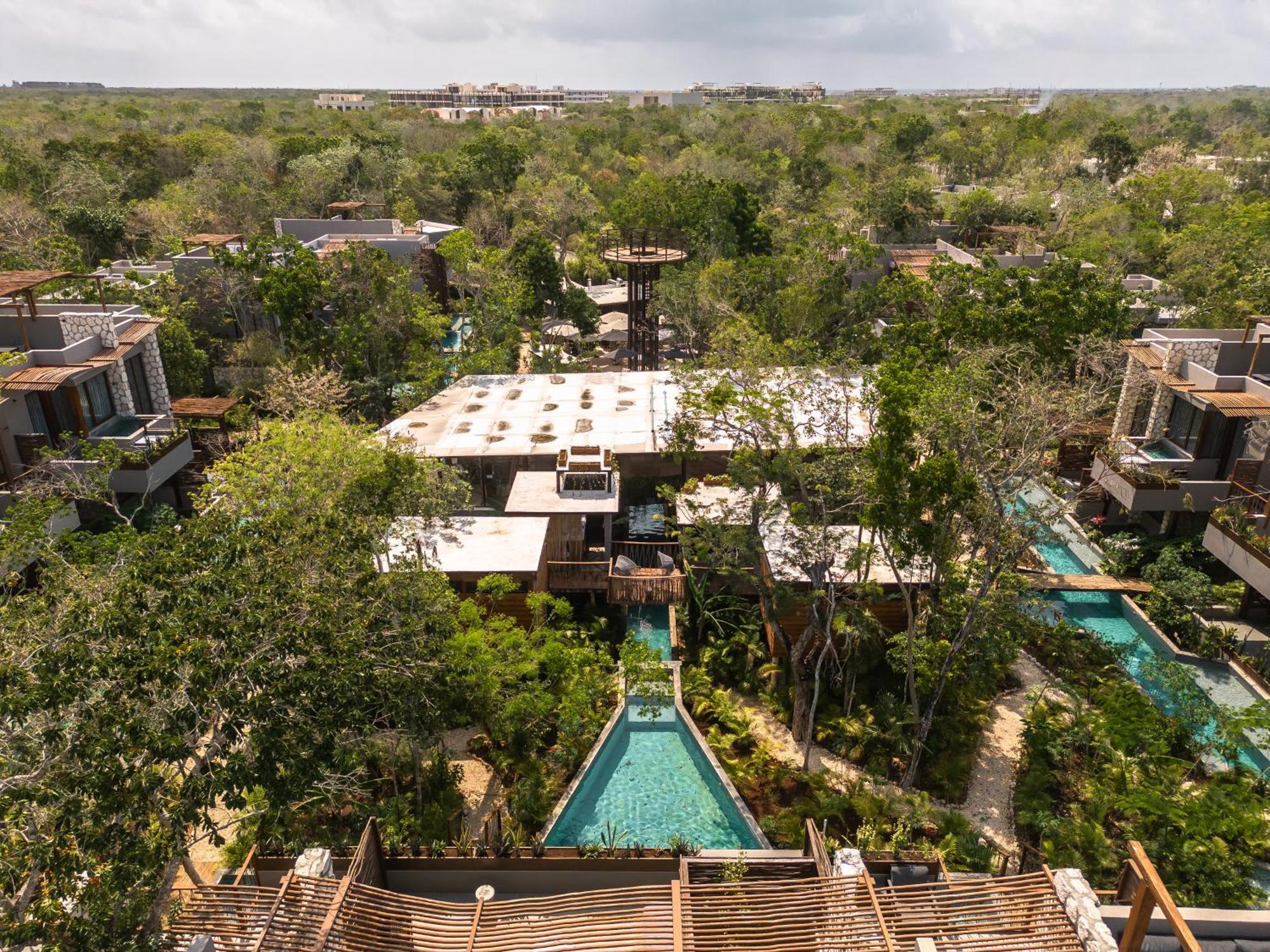 Siwa Jungle-luxury 2br Retreat With Private Roofto Apartment