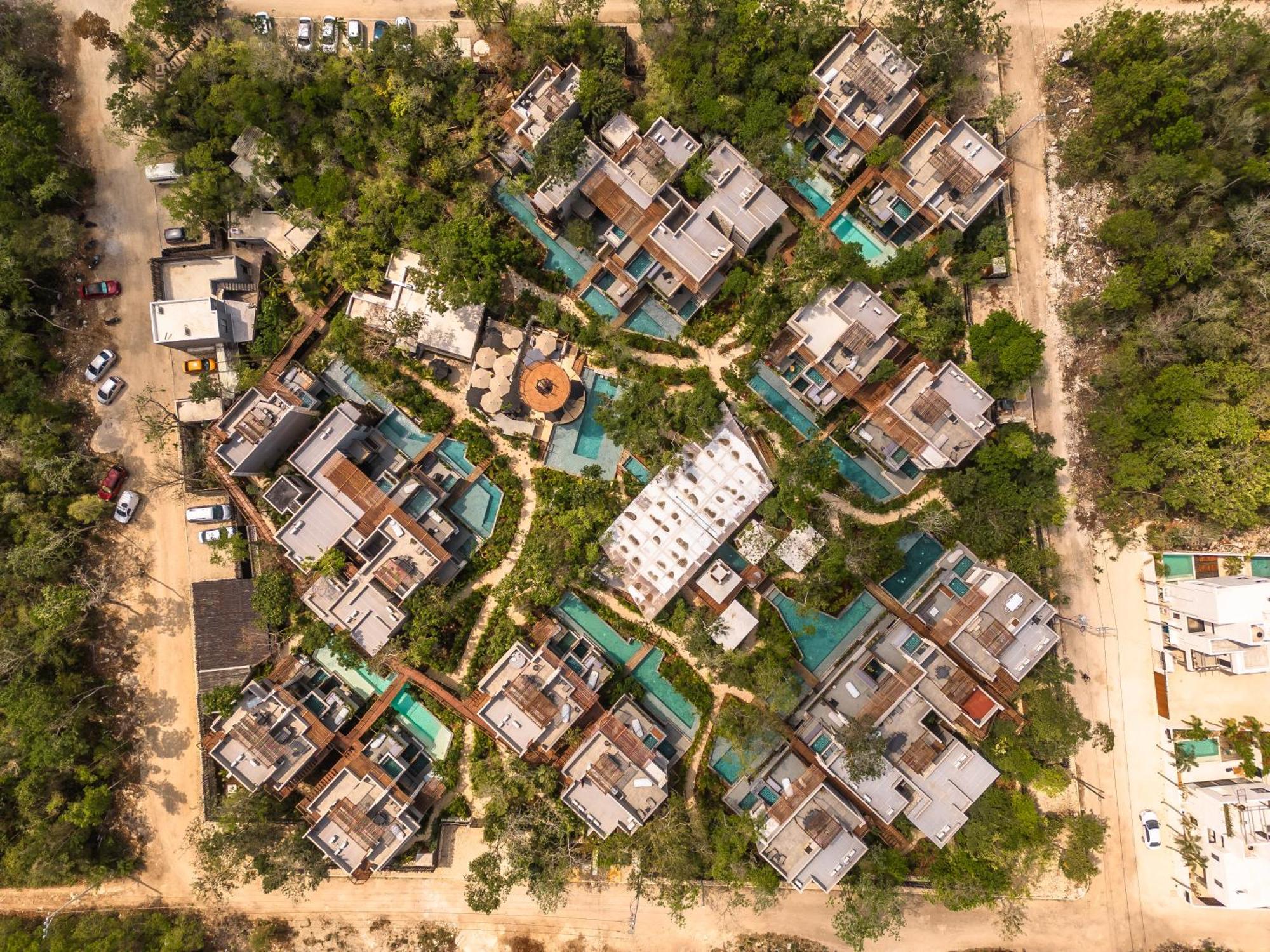 Siwa Jungle-luxury 2br Retreat With Private Roofto Apartment