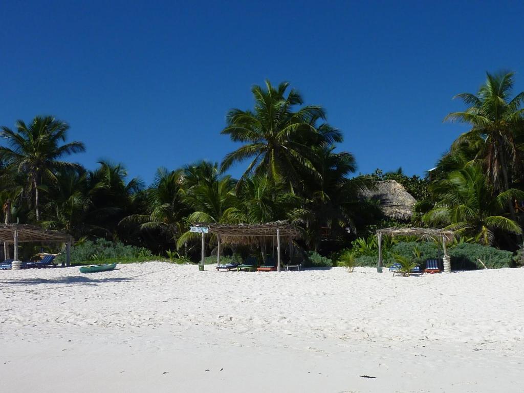 Amoreira Tulum