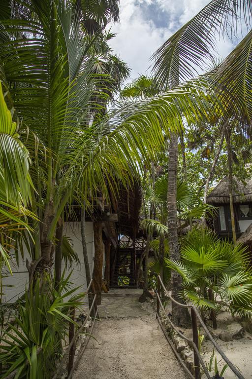 Amoreira Hotel Tulum