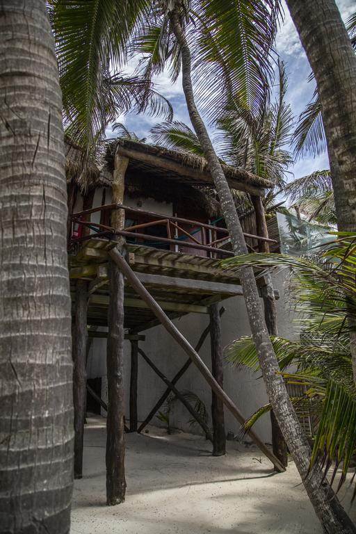 Amoreira Tulum