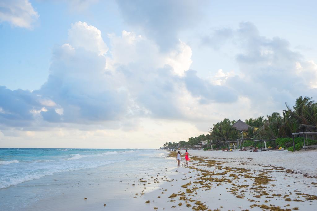 Chill Hostel Tulum