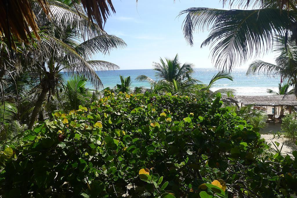 Amoreira Tulum