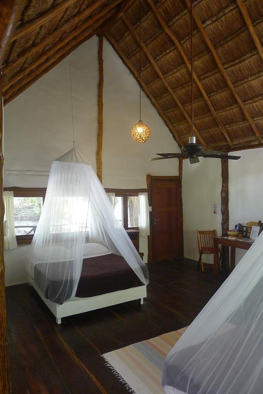 Amoreira Tulum