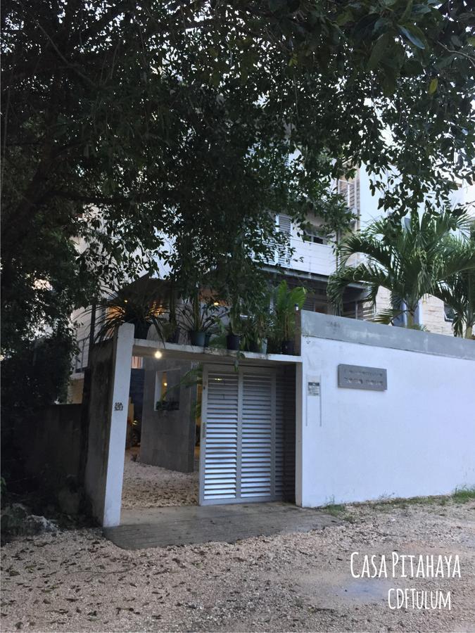 Casa Pitahaya Holiday home