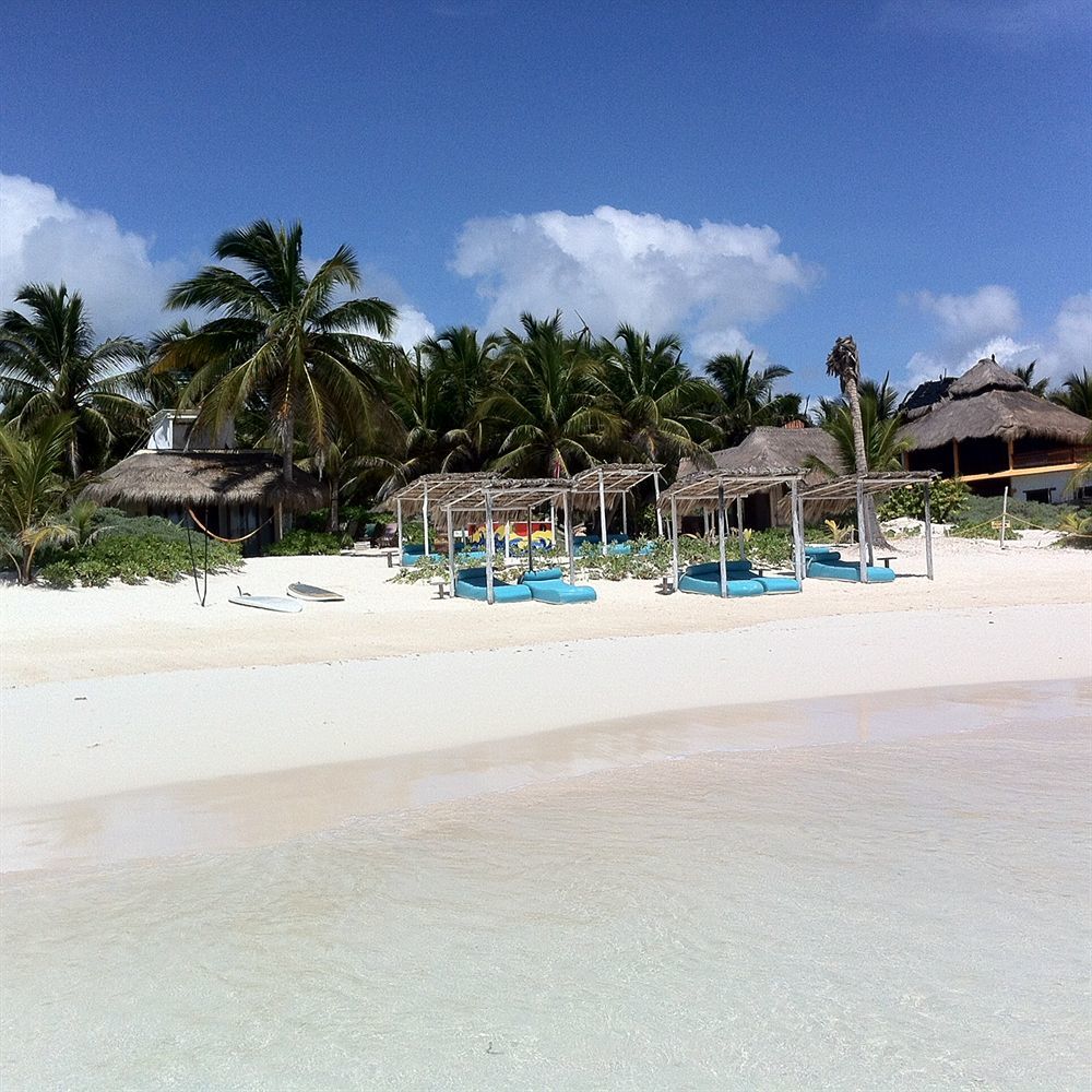 Orchid House (adults Only) Tulum