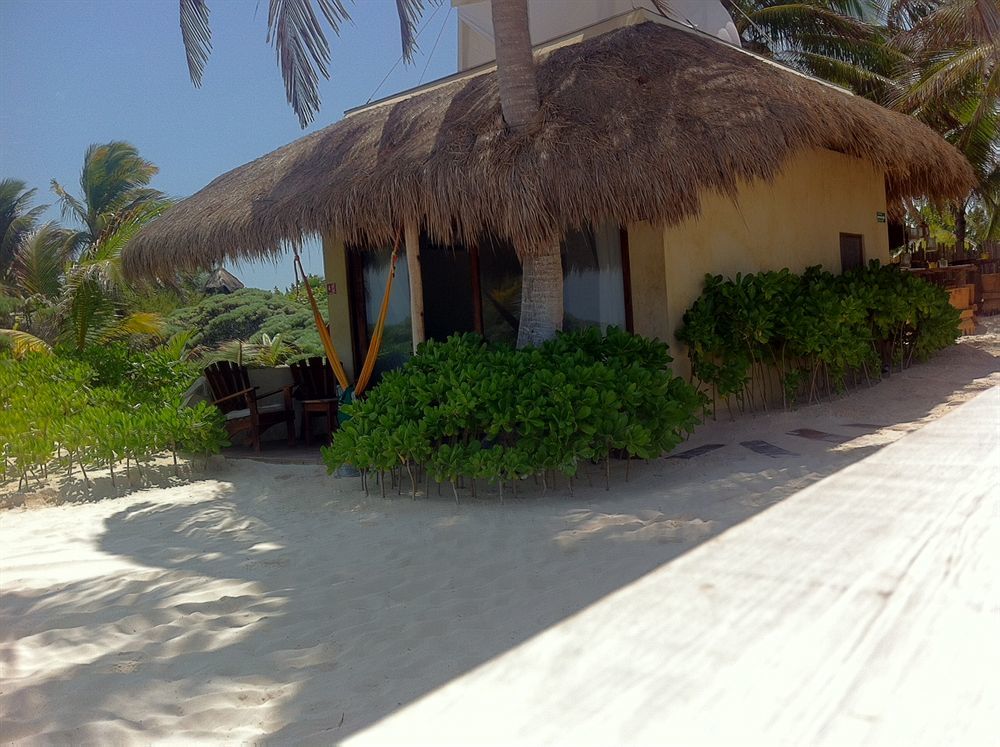 Hotel Orchid House (adults Only) 4*