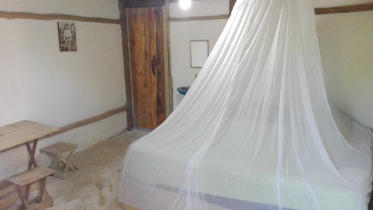 Revolucion Pancho
