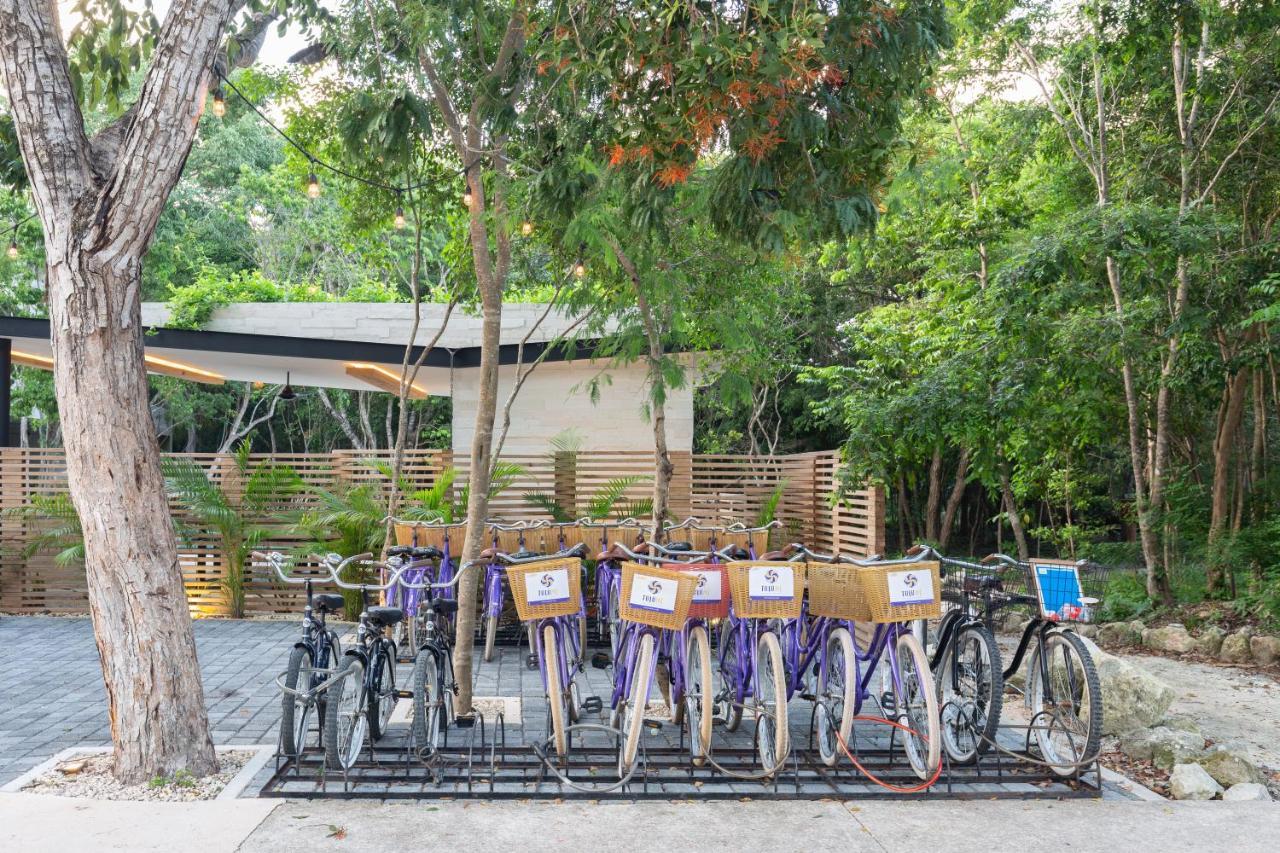Apartment Casa Julian - 2br Amazing Jungle Scape At Aldea Zama