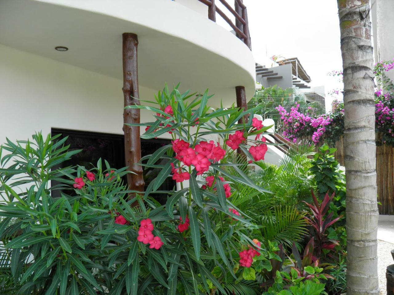 Tua Large Comfortable Pool Parking Space Apartment *